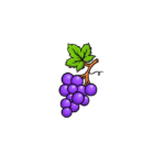 Draw Grapes